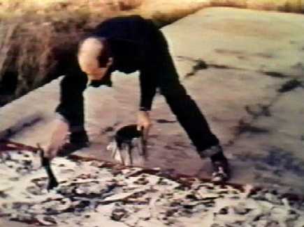 Jackson Pollock painting Jackson Pollock painting