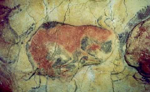 Wounded Bison, Altamira